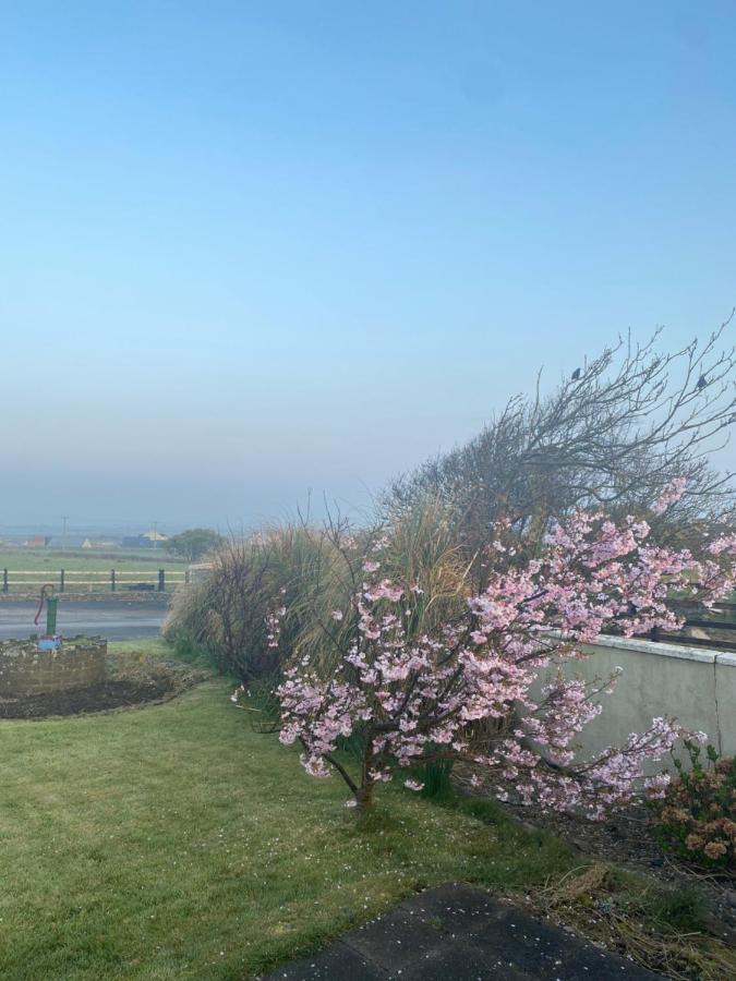 Clonmore Lodge B&B Quilty Exterior foto